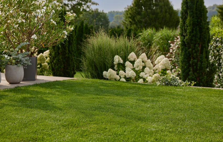FROM SODDEN TO SORTED – A 5-STEP RECOVERY PLAN FOR RAIN-SOAKED LAWNS