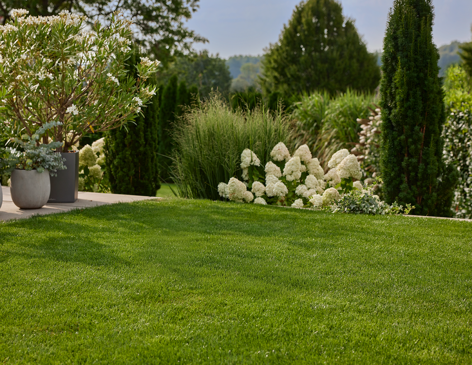 FROM SODDEN TO SORTED – A 5-STEP RECOVERY PLAN FOR RAIN-SOAKED LAWNS