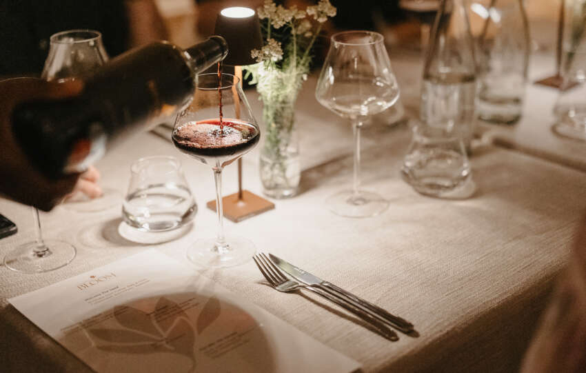 From Vineyard to Table: An Evening with Ridgeback Wines at Erinvale Estate Hotel & Spa