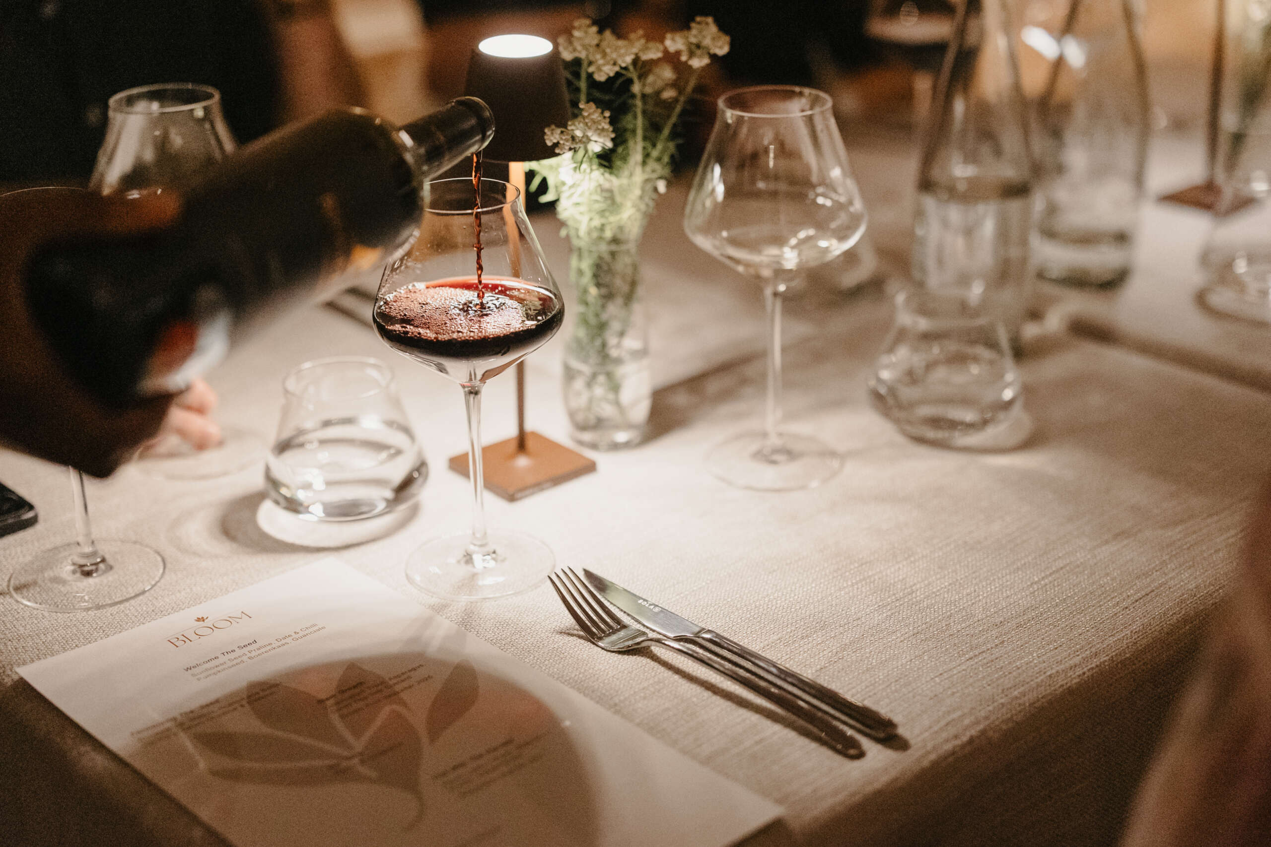 From Vineyard to Table: An Evening with Ridgeback Wines at Erinvale Estate Hotel & Spa