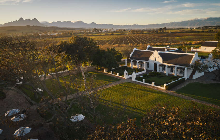 ROOTED IN RENEWAL: VUSI DALICUBA HELPS DRIVE VERGENOEGD LÖW’S WINE RENAISSANCE