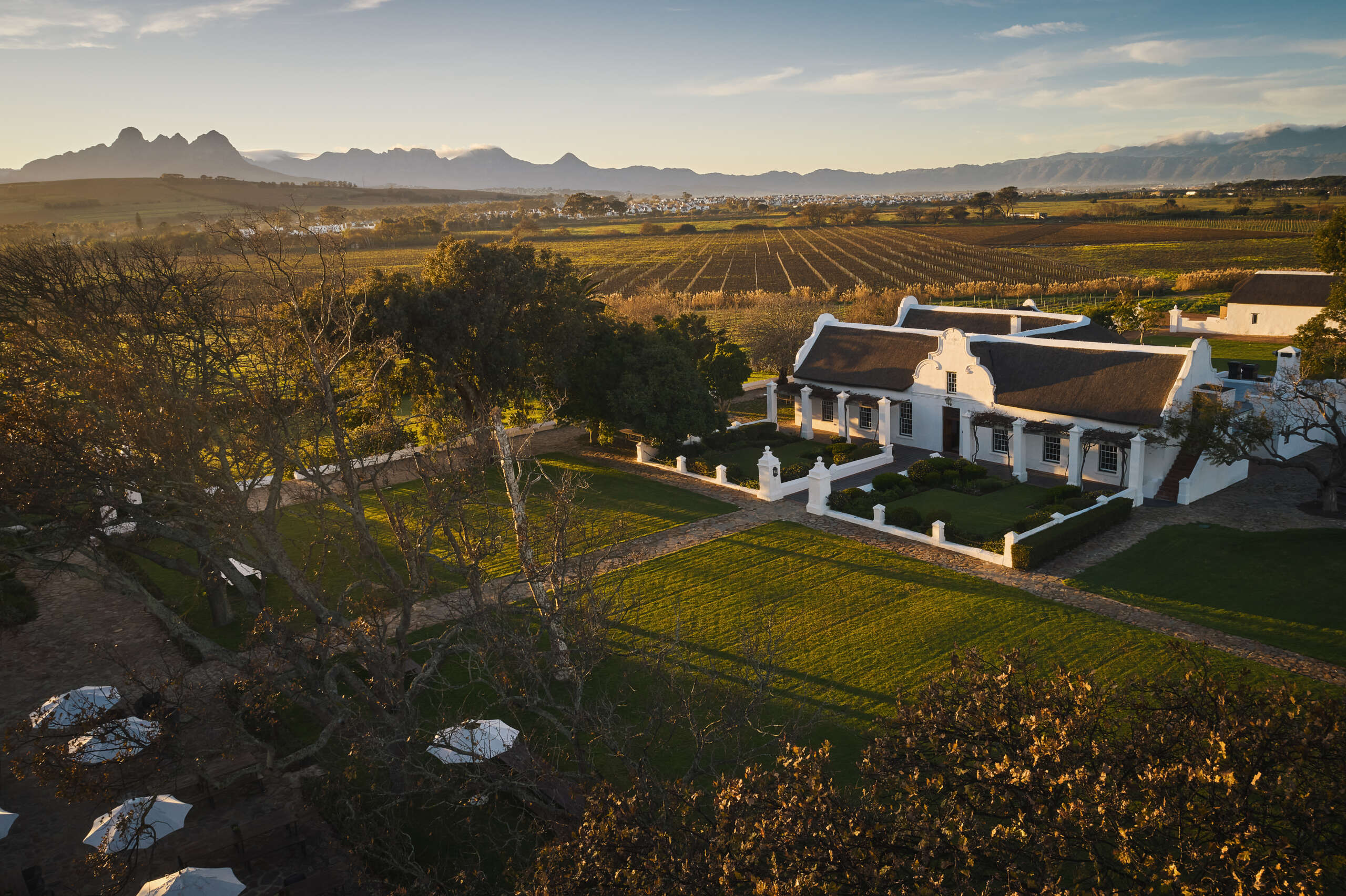 ROOTED IN RENEWAL: VUSI DALICUBA HELPS DRIVE VERGENOEGD LÖW’S WINE RENAISSANCE
