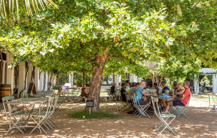 Four Winelands outings to get the group chat outdoors