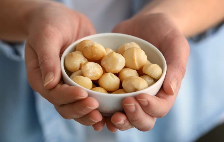 World Macadamia Day: The little nut with plenty to offer