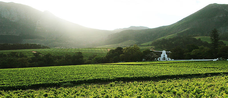 Groot Constantia Builds on Legacy as New CEO is Appointed