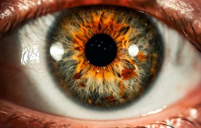 World Sight Day 2026 #LoveYourEyes