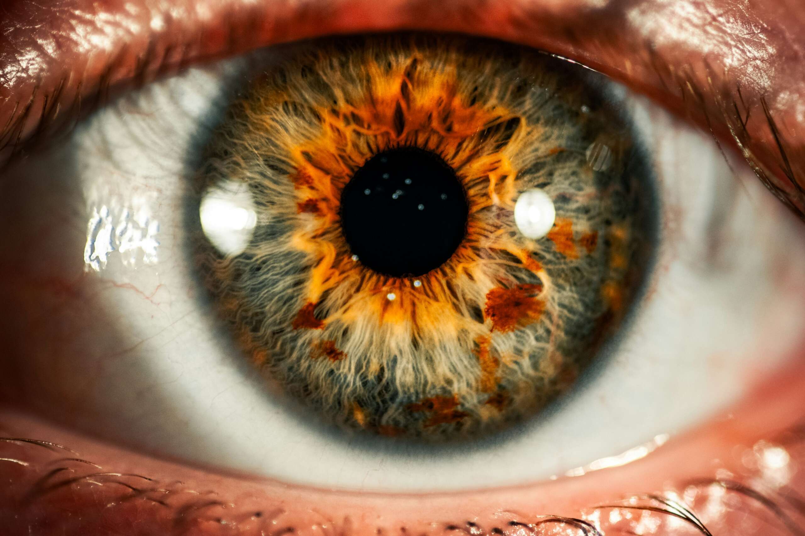 World Sight Day 2026 #LoveYourEyes