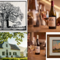 INTRODUCING THE PIERNEEF WINE & ART EXPERIENCE