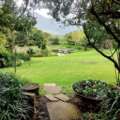 Noordhoek Open Gardens: Opening gates, growing community