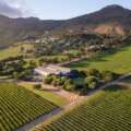 Steenberg Black Swan Named Among South Africa’s Top 10 Sauvignon Blancs