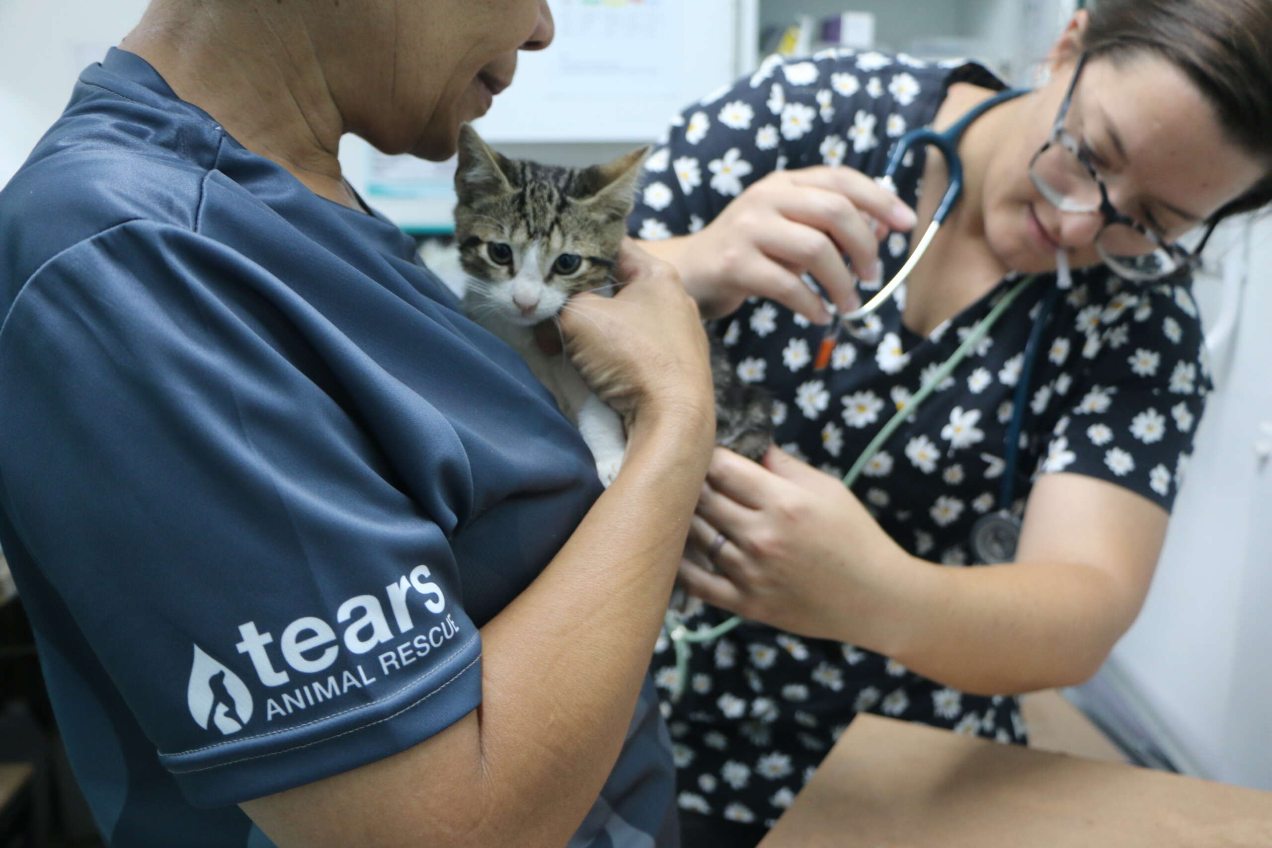 Join the Woof & Whiskers Club: Small Monthly Gifts, Big Impact for Animals in Need