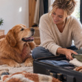 It’s not too early to prepare your pet for the festive season
