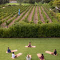 The Art of Wellbeing – Pause, Move and Reconnect at Steenberg Spa