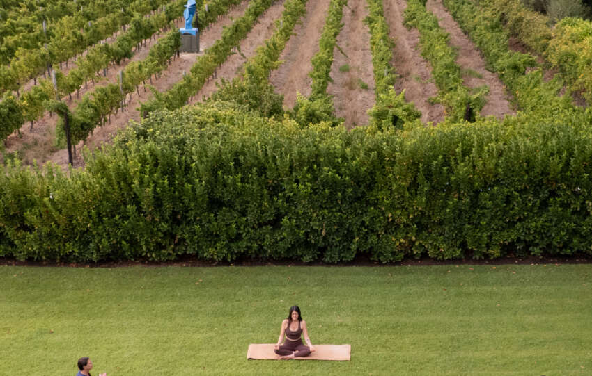 The Art of Wellbeing Pause, Move and Reconnect at Steenberg Spa