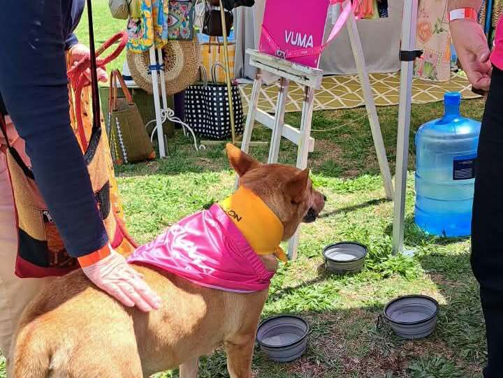 Parkhurst Village Fair Came Alive as the Community Turned Out in Force