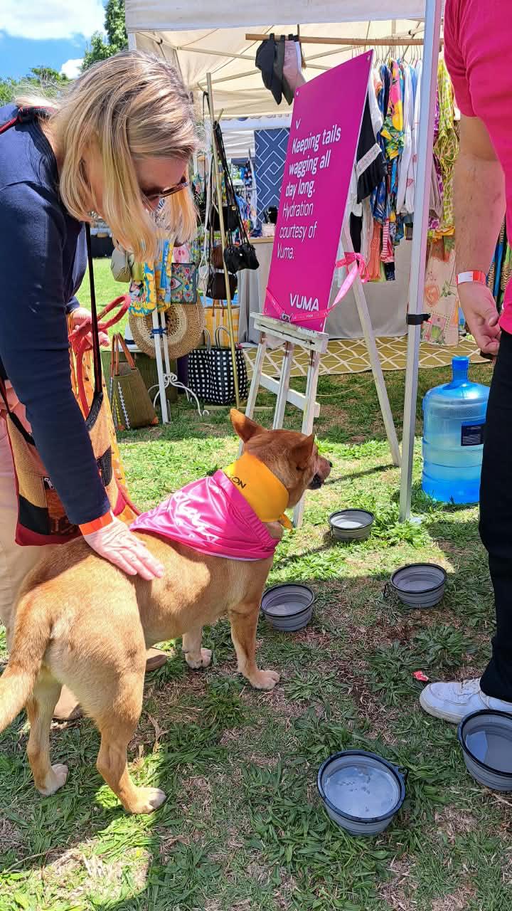 Parkhurst Village Fair Came Alive as the Community Turned Out in Force