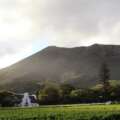 Groot Constantia’s Pinotage Legacy Continues to Earn Recognition
