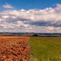 El Niño and the Cape Winelands: why the national forecast only tells part of the story